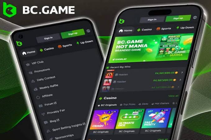 BC.Game Argentina Login - Access Your Account Safely and Easily BC.Game Argentina Login - Access Your Account Safely and Easily